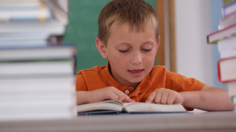 Boy reading the book